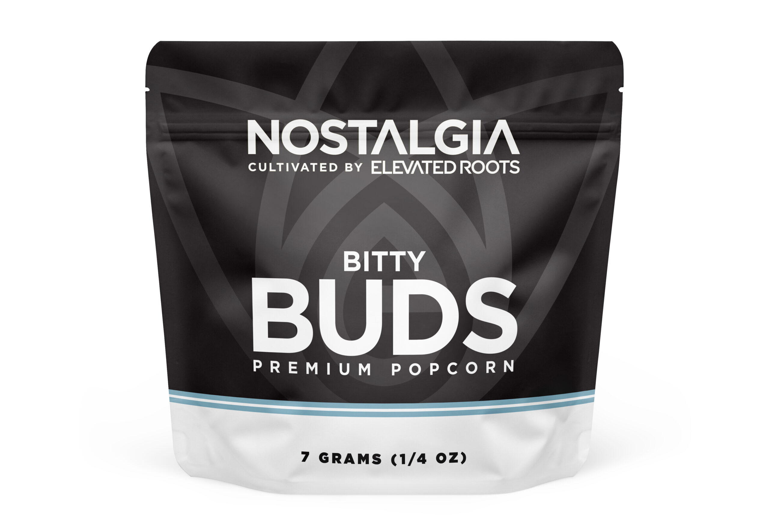 ER-NOSTALGIA-BITTY_BUDS-20240827-8-Artwork (1)-MOCK-r1-01