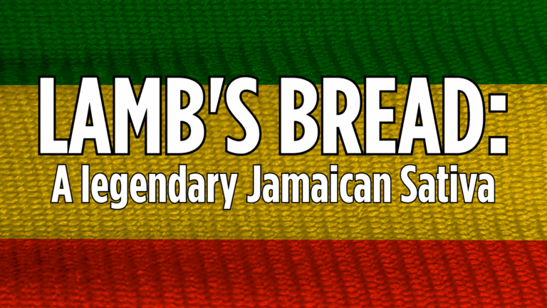 Lamb's Bread from Nostalgia