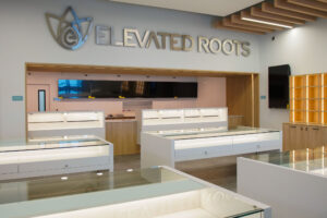 Interior of Abington's Elevated Roots cannabis dispensary featuring illuminated white display counters, mounted monitors, and a sleek wood-accented wall. Designed for a premium cannabis shopping experience in Massachusetts.