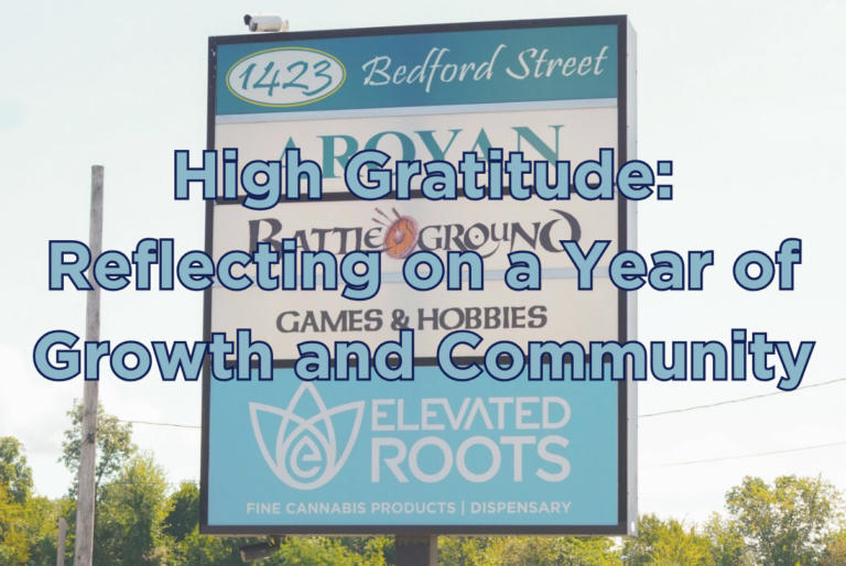 High Gratitude | Reflect on a year of growth with Elevated Roots